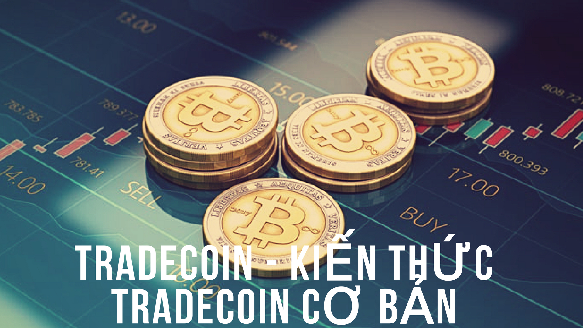 Trade coin là gì? Thông tin cho bạn đọc